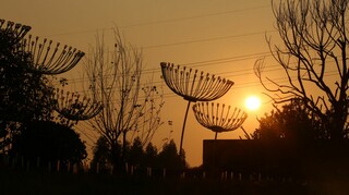 綠地廣清產業園會展中心景觀軟裝